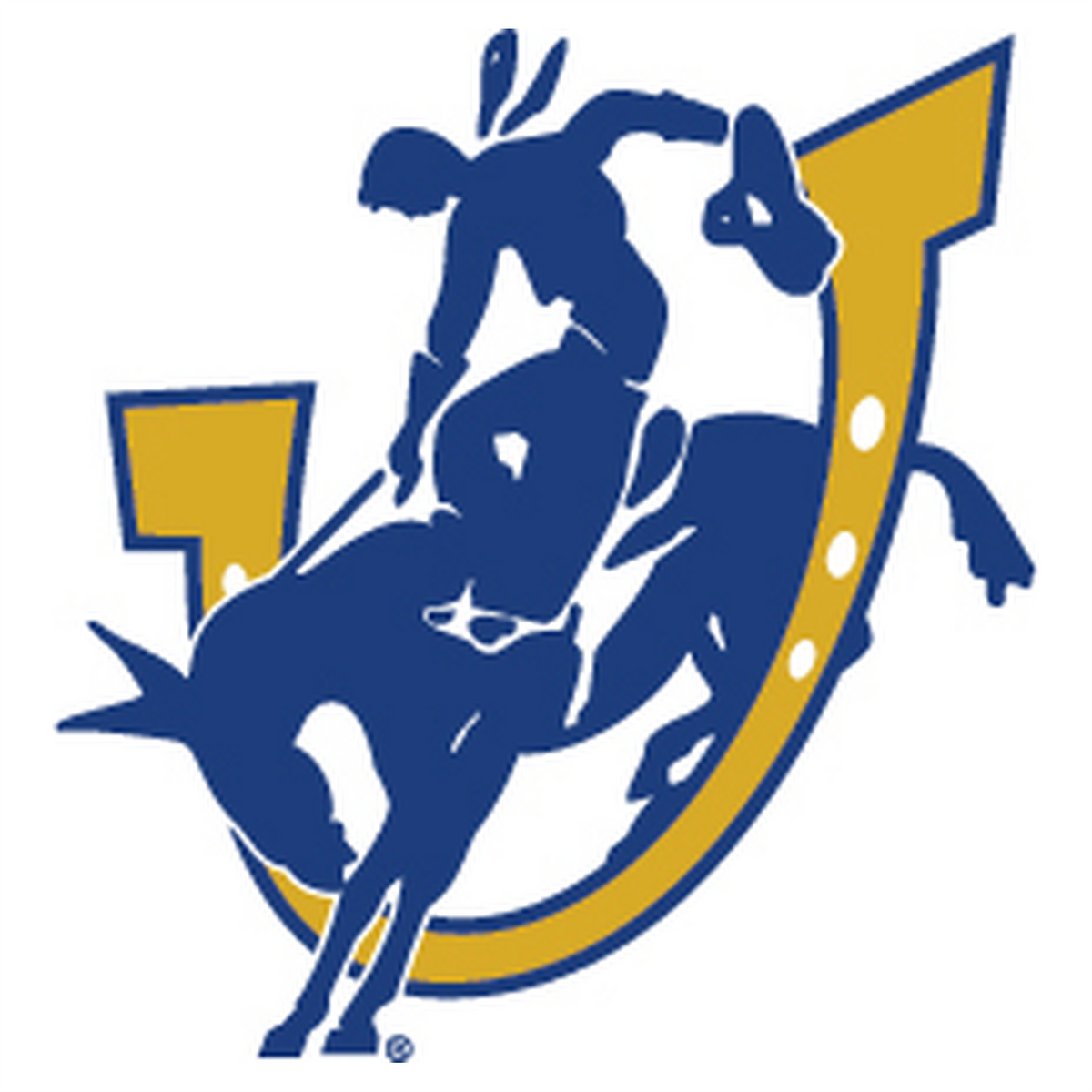 Southern Arkansas University A to Z Flags, LLC