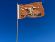 Load image into Gallery viewer, 3x5 Texas Longhorns Flag with Bevo Mascot Eyes Logo