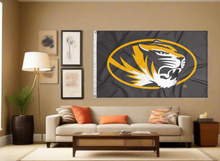 Load image into Gallery viewer, Missouri - Tigers 3x5 Flag