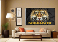 Load image into Gallery viewer, Missouri - Tiger Eyes 3x5 Flag