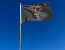 Load image into Gallery viewer, 3x5 Texas Tech Masked Rider Flag