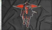 Load image into Gallery viewer, 3x5 Texas Tech Masked Rider Flag