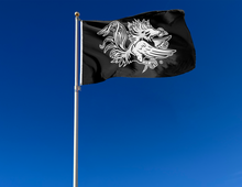 Load image into Gallery viewer, University of South Carolina - Gamecock Black 3x5 Flag