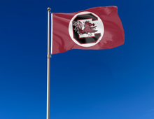 Load image into Gallery viewer, University of South Carolina - Gamecocks Logo on Football Helmet 1983-1998 3x5 Flag