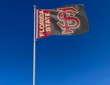 Load image into Gallery viewer, Florida State University - FS 3x5 Flag