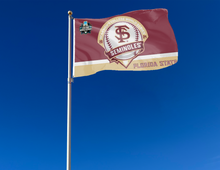 Load image into Gallery viewer, 3x5 Florida State Baseball College World Series Flag