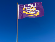 Load image into Gallery viewer, LSU - Tiger Eye Purple 3x5 Flag