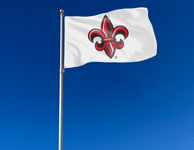 Load image into Gallery viewer, Louisiana Lafayette- Fleur White 3x5 Flag