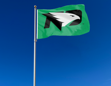 Load image into Gallery viewer, Green 3x5 University of North Dakota Flag with two metal grommets and black ND Logo attached to flagpole waving in the wind