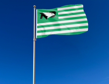 Load image into Gallery viewer, University of North Dakota - Fighting Hawks National 3x5 Flag