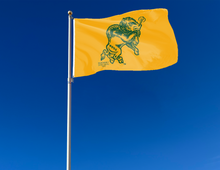 Load image into Gallery viewer, North Dakota State - 1972 Bison Gold 3x5 Flag