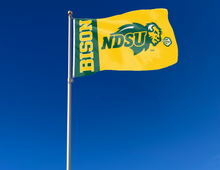 Load image into Gallery viewer, North Dakota State - Bison 3x5 Flag
