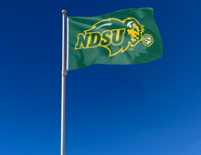 Load image into Gallery viewer, North Dakota State - NDSU 3x5 Flag