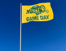 Load image into Gallery viewer, North Dakota State - Game Day Gold 3x5 Flag