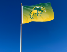 Load image into Gallery viewer, North Dakota State - Gradient Bison 3x5 Flag