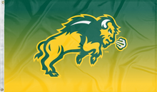 Load image into Gallery viewer, North Dakota State - Gradient Bison 3x5 Flag