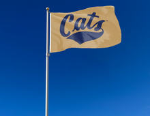 Load image into Gallery viewer, Montana State - CATS 3x5 Flag