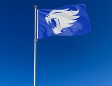Load image into Gallery viewer, Kentucky - Wildcat Blue 3x5 Flag