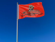 Load image into Gallery viewer, Houston - Victoria Jaguars 3x5 Flag