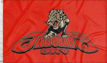 Load image into Gallery viewer, Houston - Victoria Jaguars 3x5 Flag