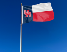 Load image into Gallery viewer, Houston - Cougars State of Texas 3x5 Flag