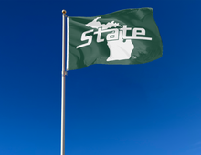 Load image into Gallery viewer, 3x5 Michigan State Flag with State of Michigan Logo
