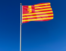 Load image into Gallery viewer, Pittsburg State University - Gorillas National 3x5 Flag