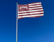 Load image into Gallery viewer, Mississippi State - Bulldogs National 3x5 Flag