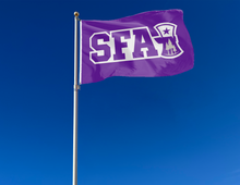 Load image into Gallery viewer, Stephen F. Austin State University - SFA 3x5 Flag