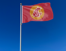 Load image into Gallery viewer, Washington State University - Cougars Basketball 3x5 Flag