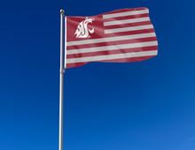 Load image into Gallery viewer, Washington State University - Cougars National 3x5 Flag