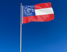 Load image into Gallery viewer, Georgia State - Panthers Flag of Georgia 3x5 Flag