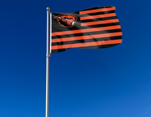 Load image into Gallery viewer, 3x5 Oregon State Flag with National Logo