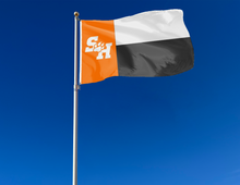 Load image into Gallery viewer, Sam Houston State - Flag of Texas Style 3x5 Flag