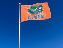 Load image into Gallery viewer, University of Florida - Gators Orange 3x5 Flag