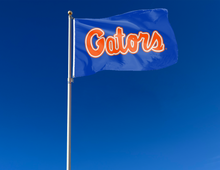 Load image into Gallery viewer, University of Florida - Gators Logo Blue 3x5 Flag