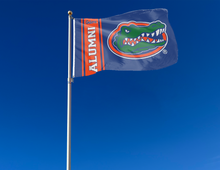 Load image into Gallery viewer, University of Florida - Alumni 3x5 Flag