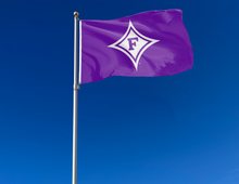Load image into Gallery viewer, Furman University - Paladin Purple 3x5 Flag