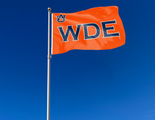 Load image into Gallery viewer, Orange 3x5 foot wide Auburn University Flag with War Damn Eagle WDE Logo and Two Metal Grommets attached to flagpole waving in the wind