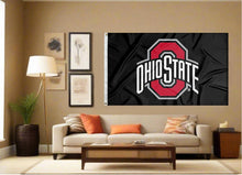 Load image into Gallery viewer, Ohio State University Black 3x5 Flag