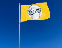 Load image into Gallery viewer, Gold 3x5 UC Irvine Baseball Flag with two metal grommets attached to flagpole waving in the wind