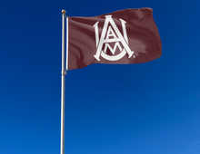 Load image into Gallery viewer, Maroon 3x5 foot Alabama A&M University flag with School Logo and Two Metal Grommets attached to a flag pole waving in the wind