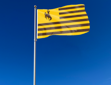 Load image into Gallery viewer, American flag style university of wyoming flag attached to flagpole waving in the wind for tailgate decor