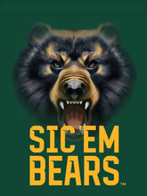 Load image into Gallery viewer, Green 30x40 inch long Baylor University House Flag with Bear Eyes and Sic Em Bears Logo