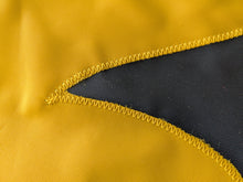 Load image into Gallery viewer, University of Iowa Applique Flag