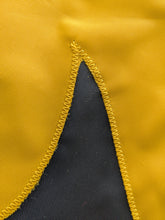 Load image into Gallery viewer, University of Iowa Applique Flag