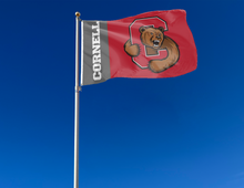 Load image into Gallery viewer, Cornell University Grey and Red 3x5 foot wide Flag with two metal grommets attached to flagpole waving in the wind