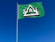 Load image into Gallery viewer, Green 3x5 foot wide Delta State University flag with school logo and two metal grommets attached to flagpole waving in the wind