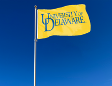 Load image into Gallery viewer, Gold 3x5 foot wide University of Delaware Flag with blue University letters logo and two metal grommets
