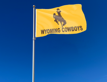 Load image into Gallery viewer, Gold Wyoming cowboys 3x5 flag displayed outside for tailgate decor